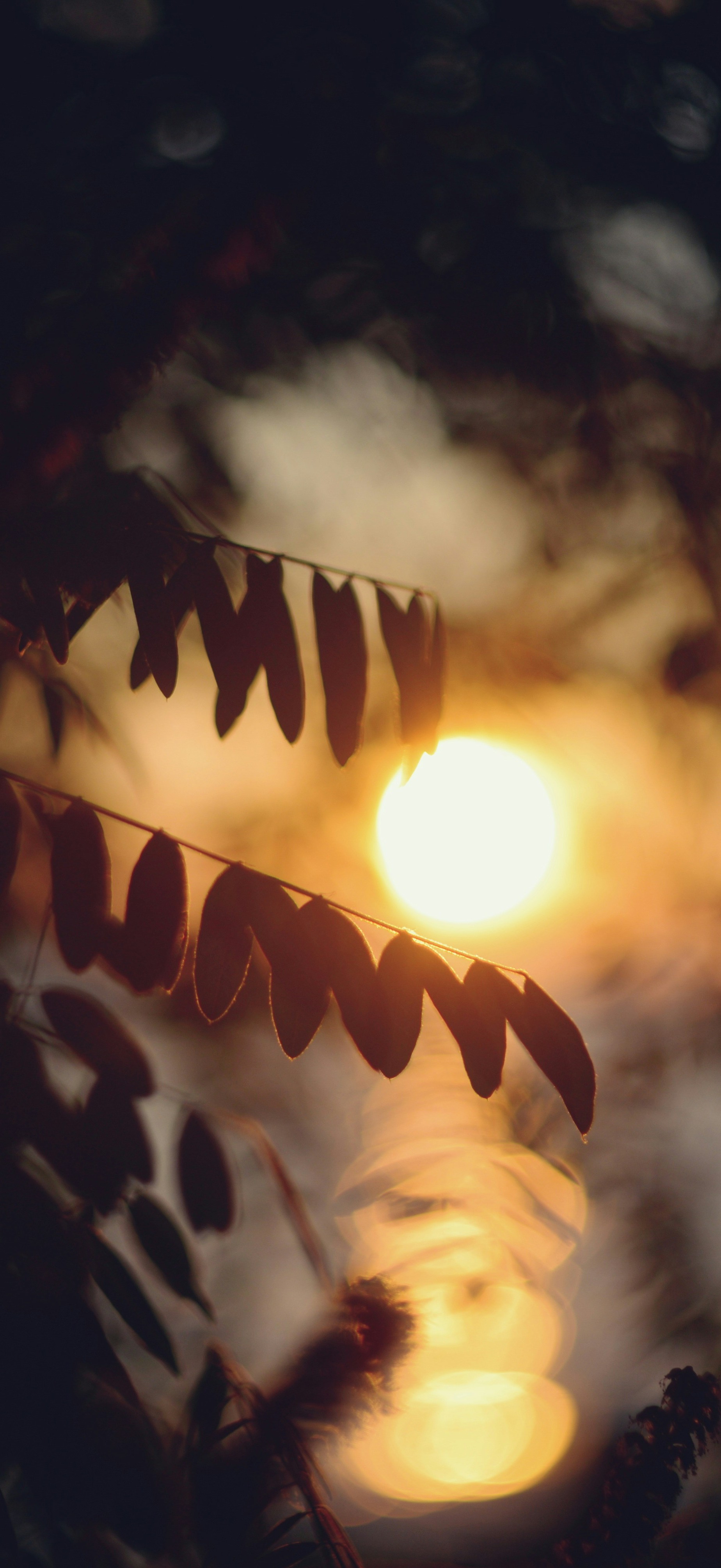 Wallpaper270926
