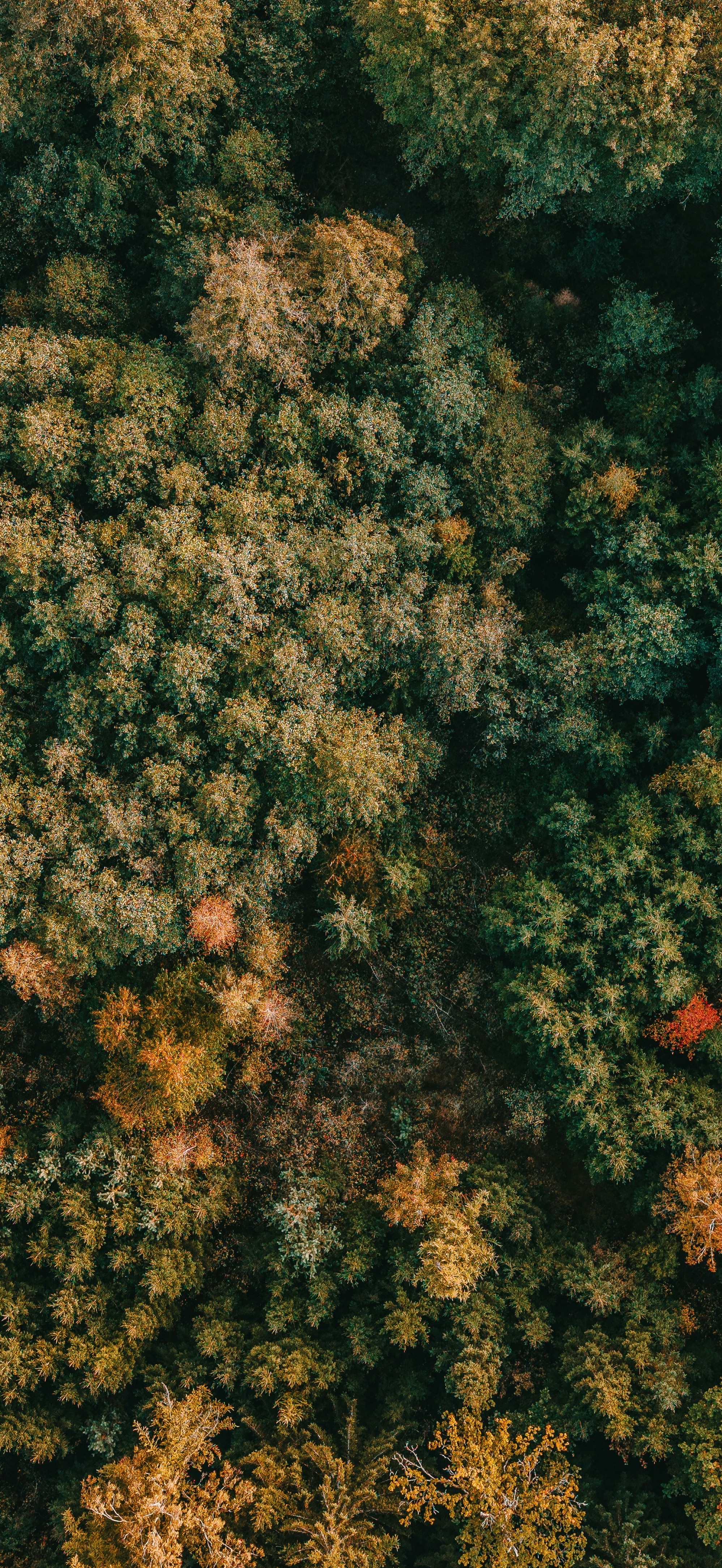 Wallpaper231026