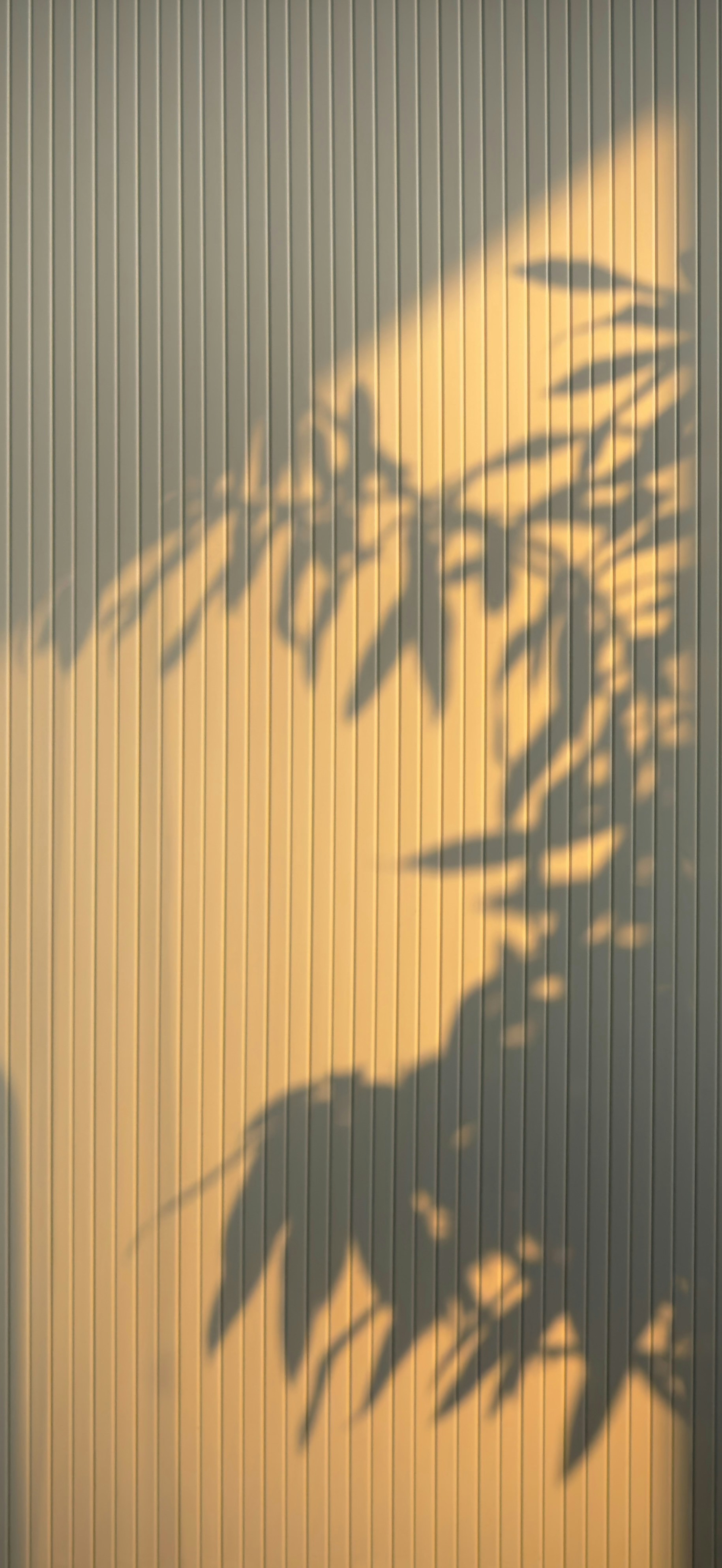 Wallpaper231026