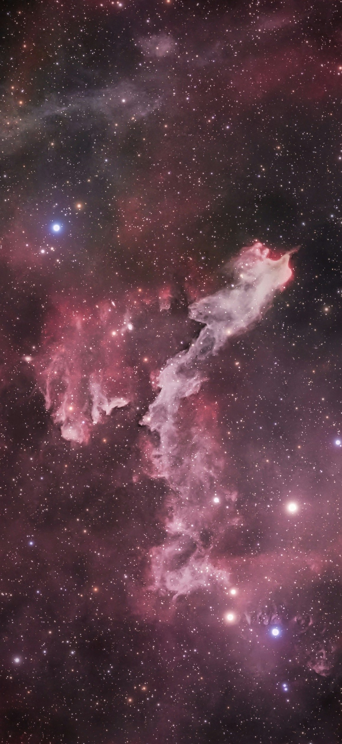 Wallpaper241026