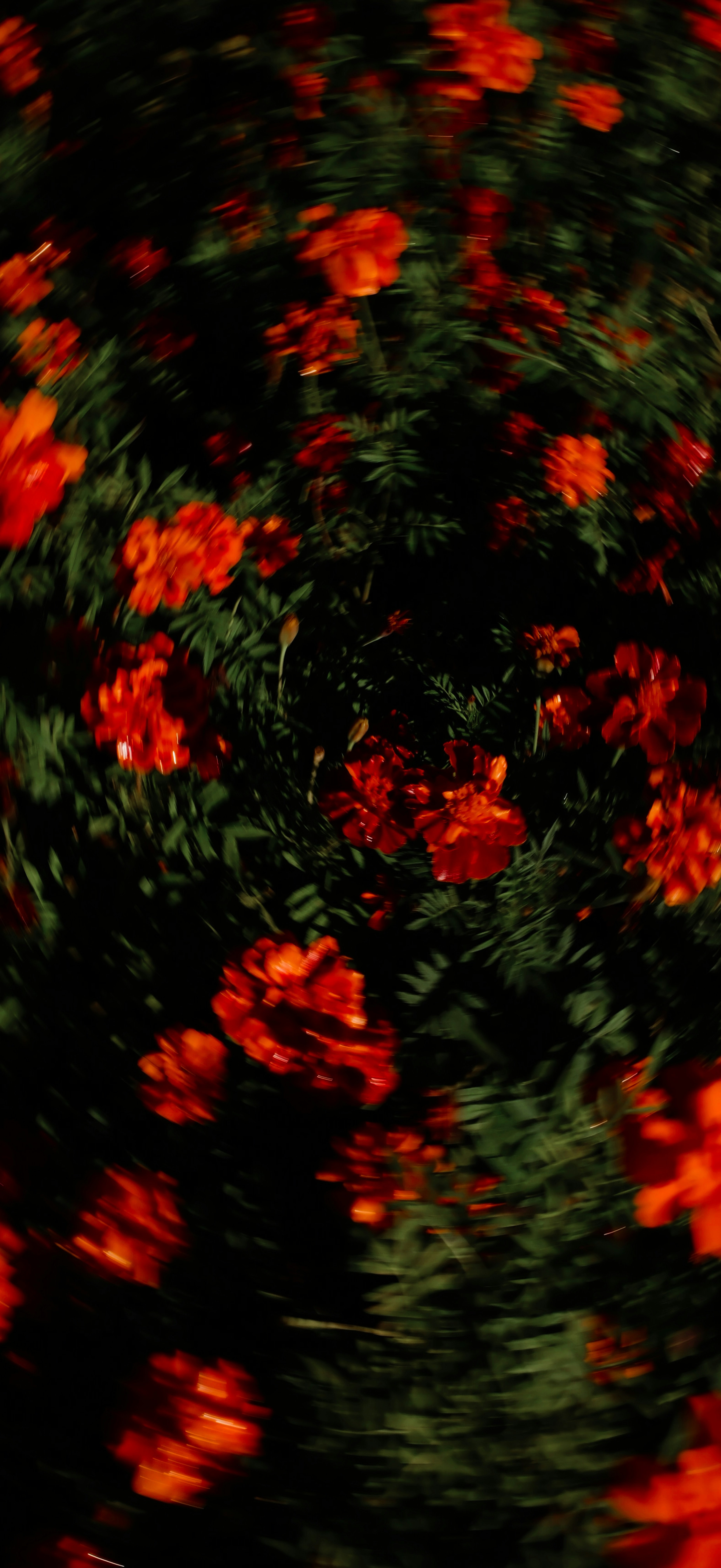 Wallpaper271026