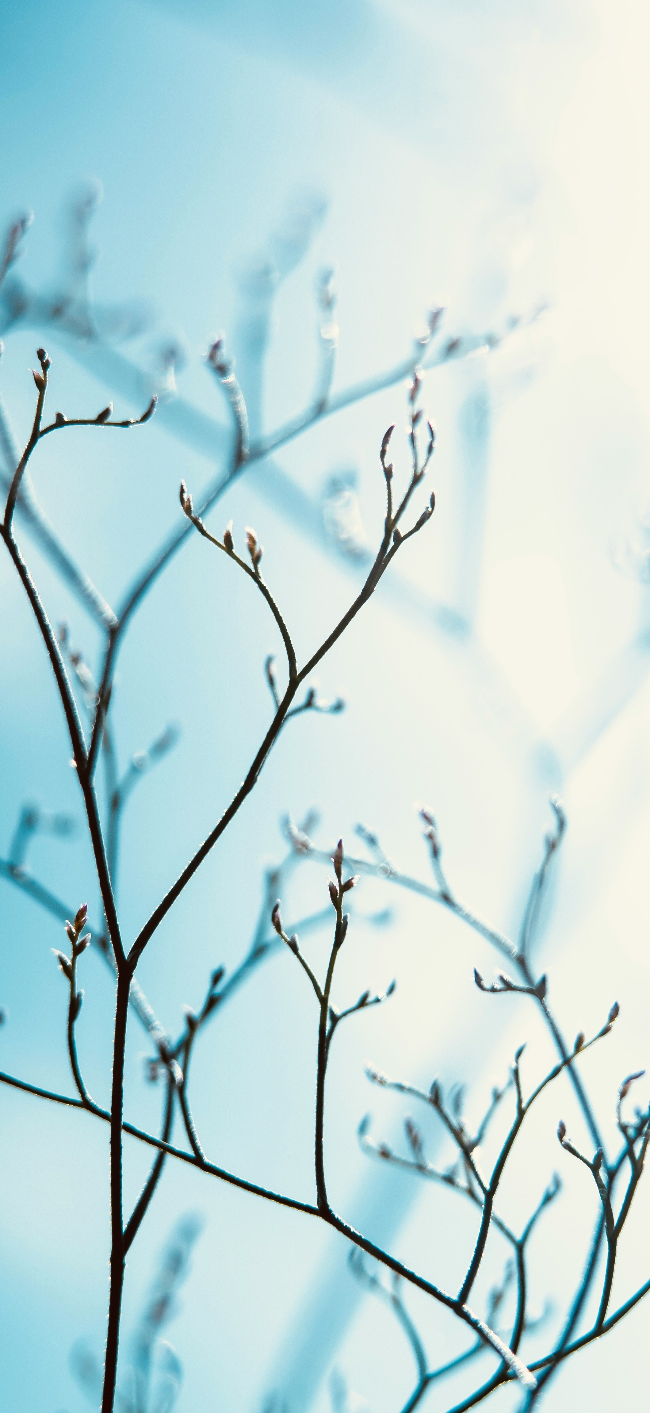 Wallpaper291026
